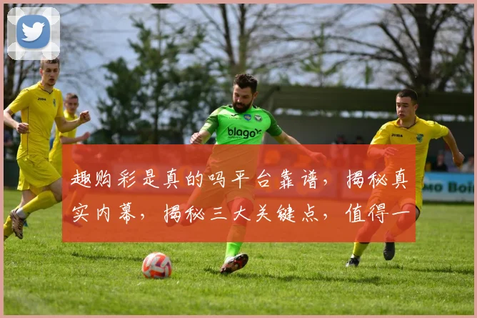 趣购彩是真的吗平台靠谱，揭秘真实内幕，揭秘三大关键点，值得一看
